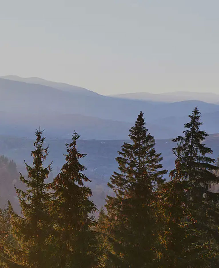 Planche en mélamine design cuir